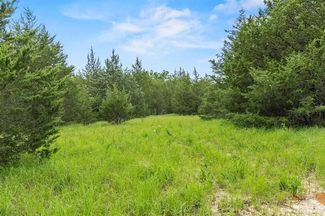 a view of a big yard with large trees