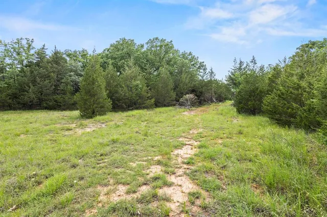 a view of a green yard with large trees