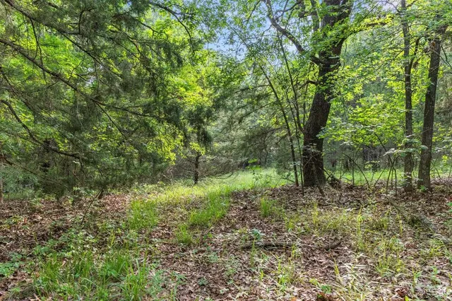 a view of a green field with lots of bushes