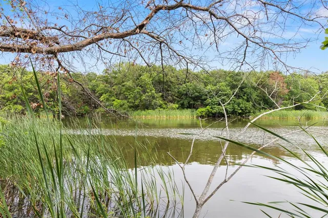 a view of a swimming pool with a yard and plants
