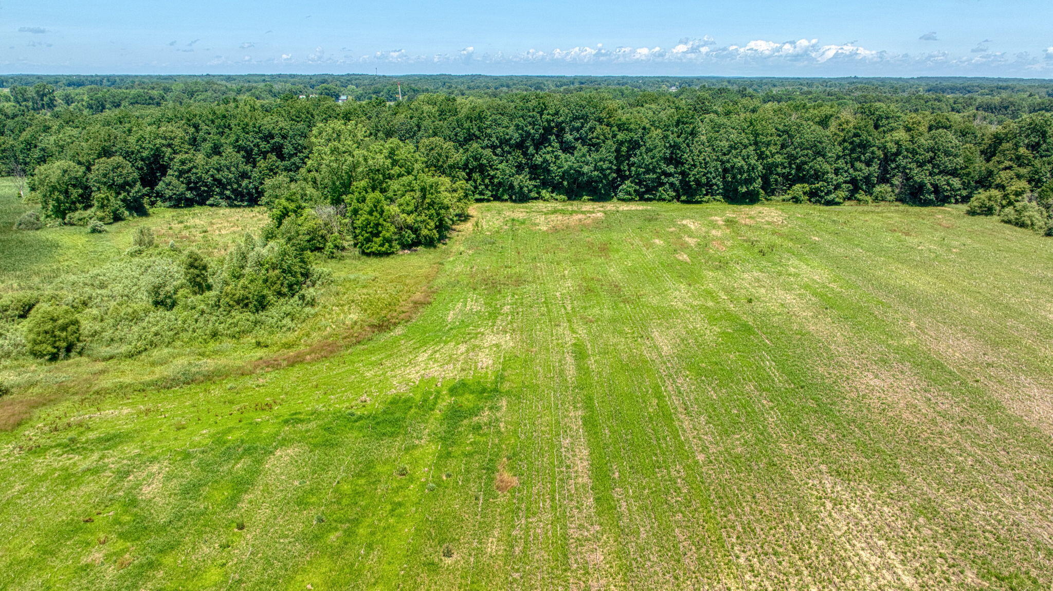10.00 Acre Split 1 Case Road Brooklyn, MI 49230 - Photo 6 of 13 27-web-or-mls-DJI_0032_HDR