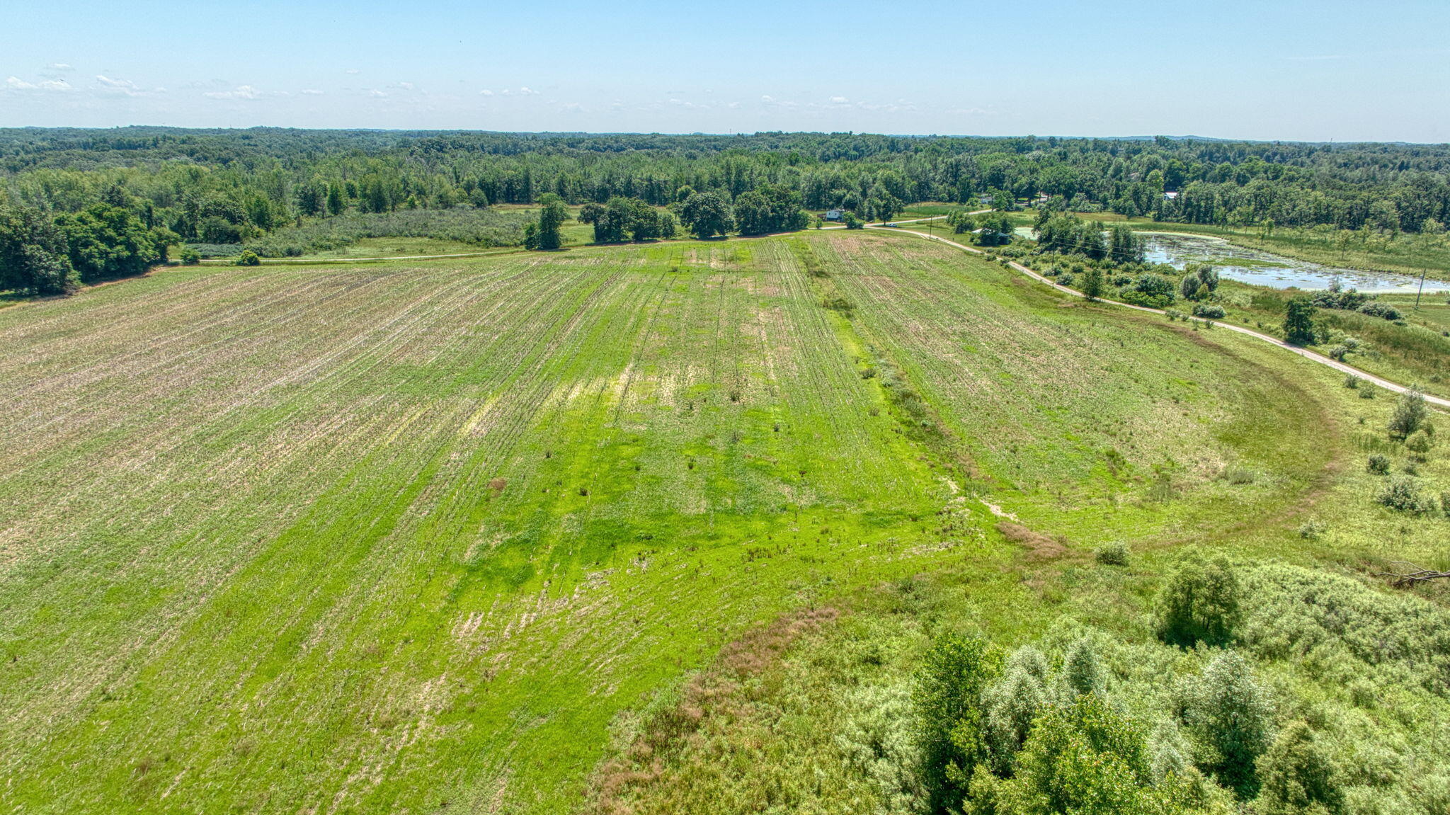 10.00 Acre Split 1 Case Road Brooklyn, MI 49230 - Photo 9 of 13 30-web-or-mls-DJI_0042_HDR