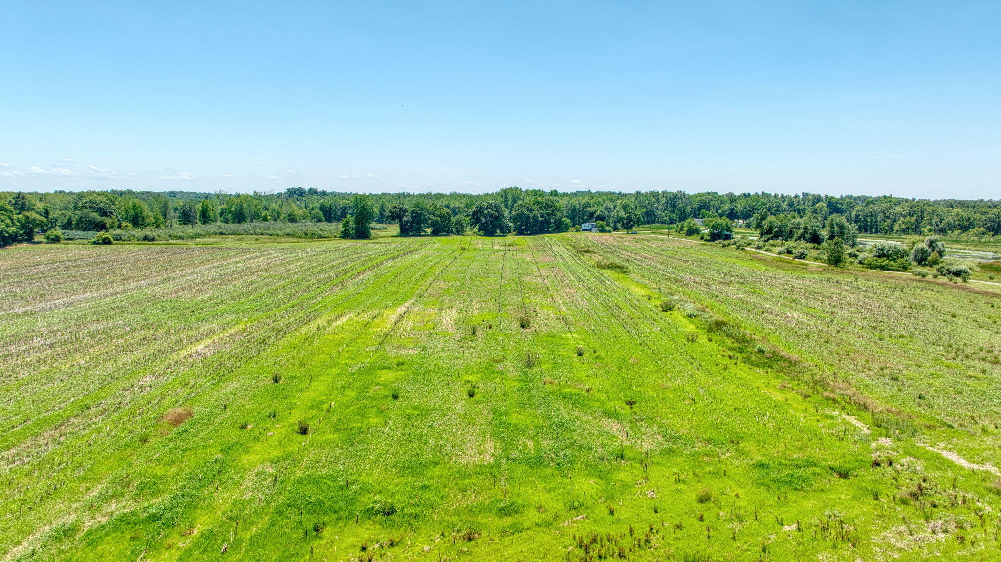 10.00 Acre Split 1 Case Road Brooklyn, MI 49230 - Photo 10 of 13 31-web-or-mls-DJI_0045_HDR