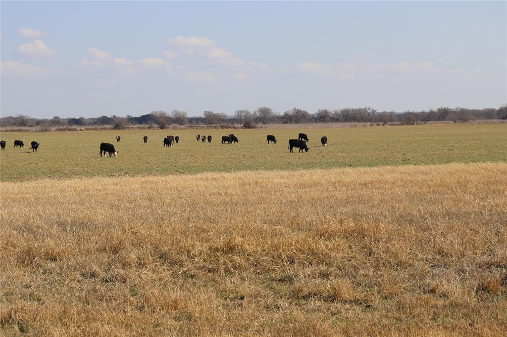 415 County Road 415 Comanche, TX 76442 - Photo 6 of 6