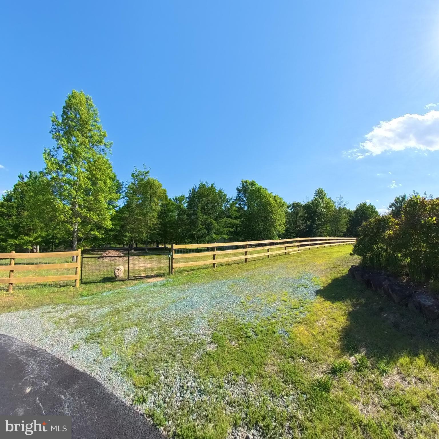 1225 Middle River Road Stanardsville, VA 22973 - Photo 77 of 101