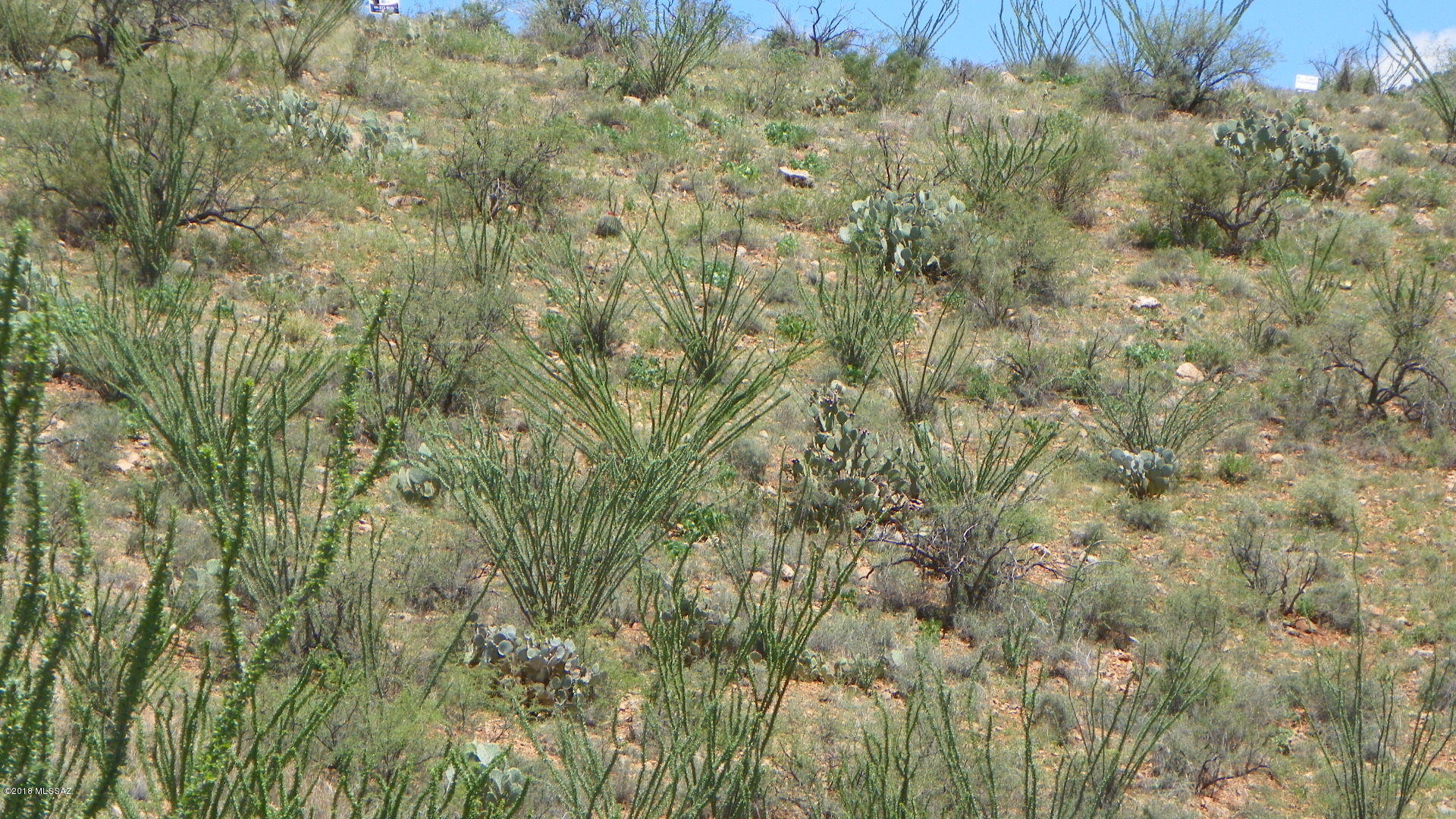 335 Circulo Chica, Unit 21 Rio Rico, AZ 85648 - Photo 6 of 10