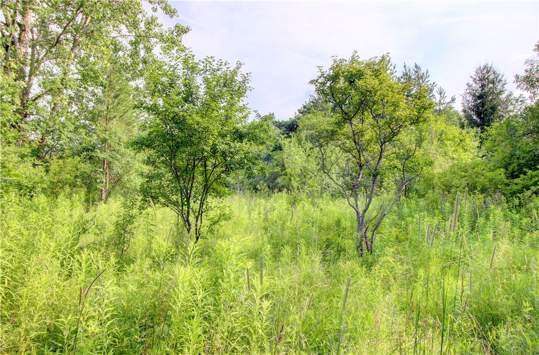 0 Snell Road Geneva, NY 14456 - Photo 2 of 4