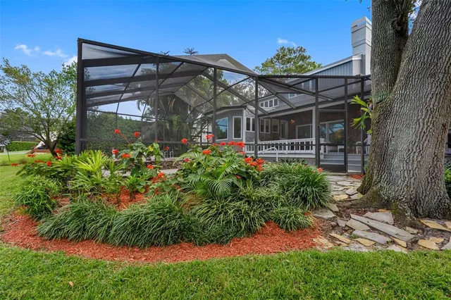 a view of a flower in a garden