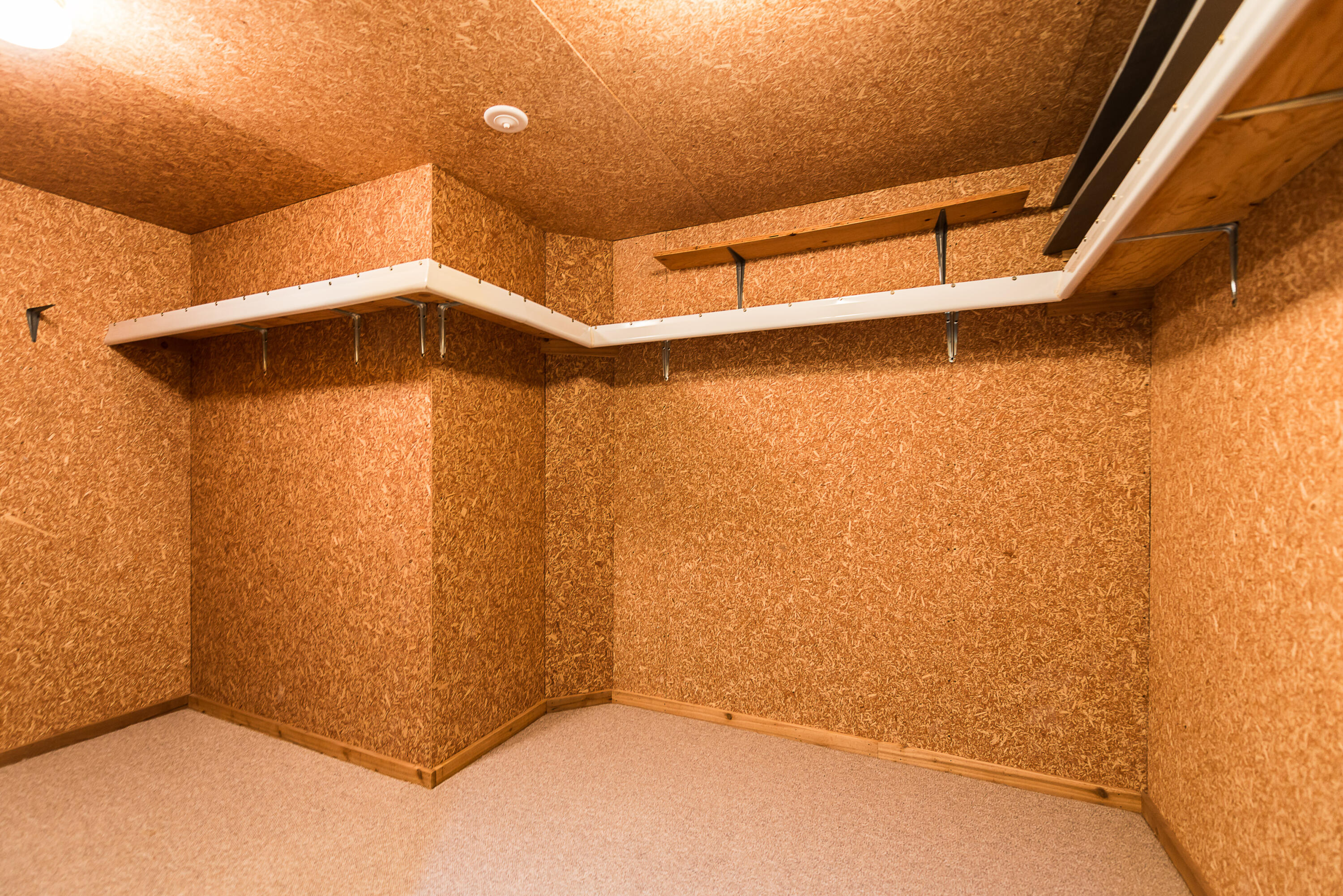 5492 Parkgrove Road Ann Arbor, MI 48103 - Photo 46 of 59 Big cedar closet