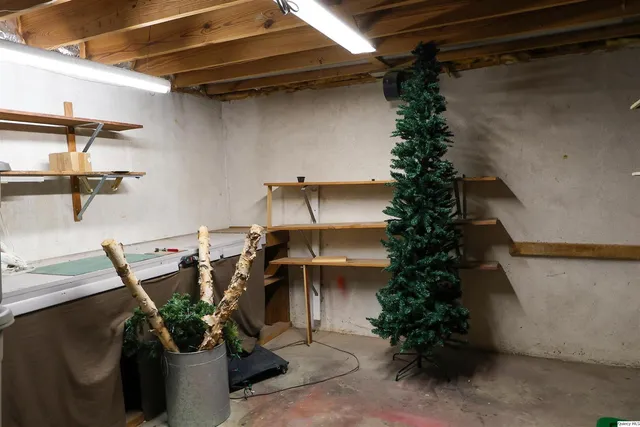 a view of outdoor space with plants