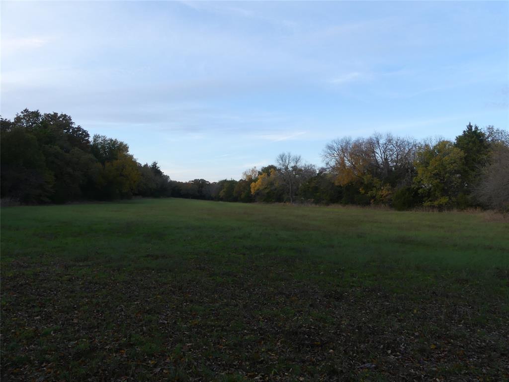 Tbd Schoolhouse Road Forestburg, TX 76239 - Photo 11 of 18 a view of a field of grass and trees