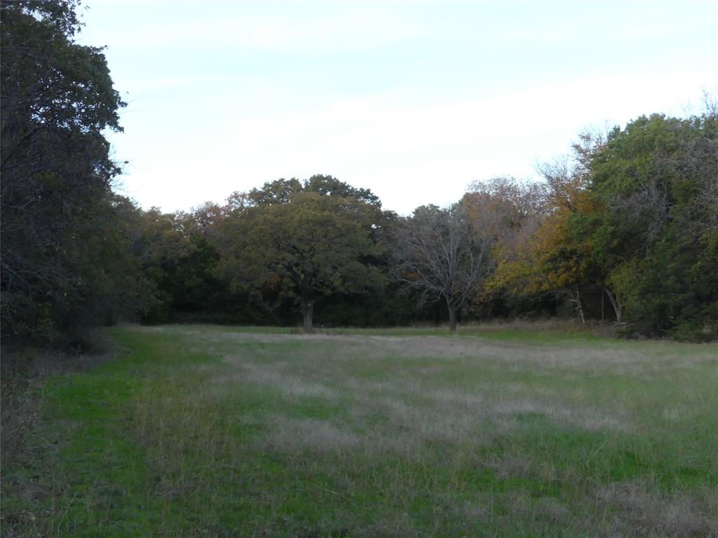 Tbd Schoolhouse Road Forestburg, TX 76239 - Photo 13 of 18 a view of outdoor space with field and trees