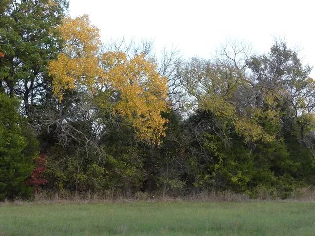 a view of a grassy field with trees