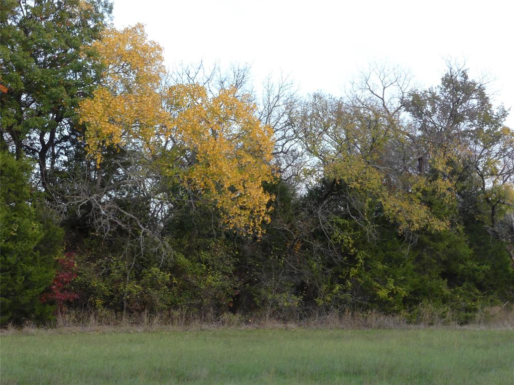 Tbd Schoolhouse Road Forestburg, TX 76239 - Photo 14 of 18 a view of a field of grass and trees