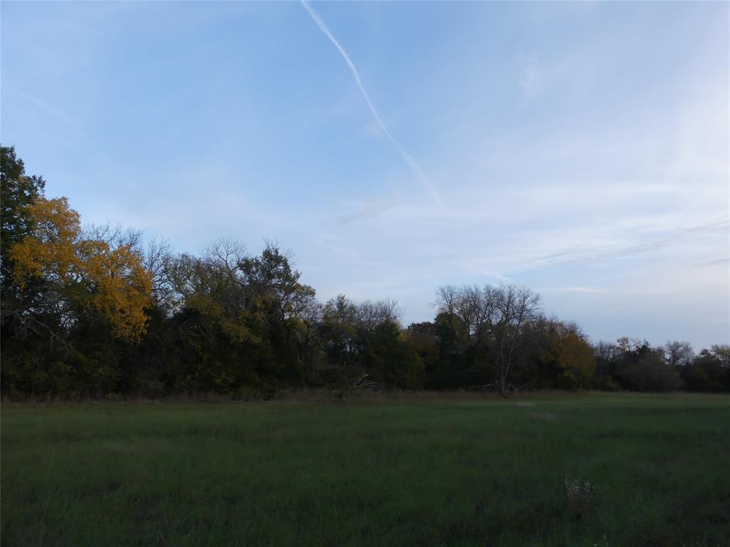 Tbd Schoolhouse Road Forestburg, TX 76239 - Photo 15 of 18 a view of a grassy field with trees