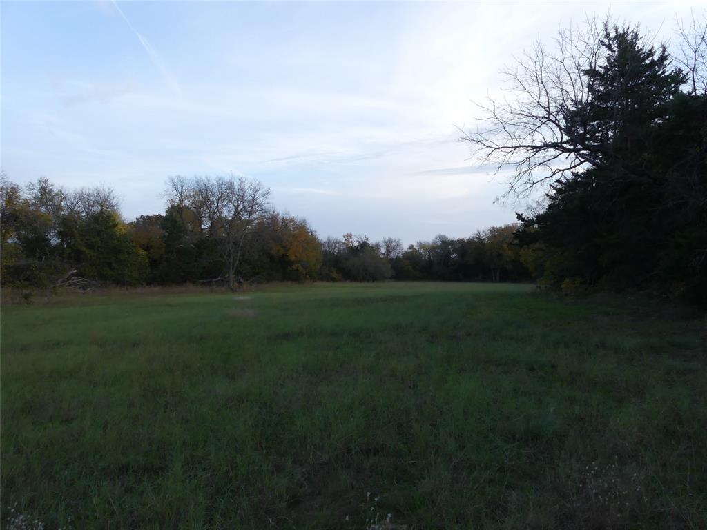 Tbd Schoolhouse Road Forestburg, TX 76239 - Photo 16 of 18 a view of a field of grass and trees