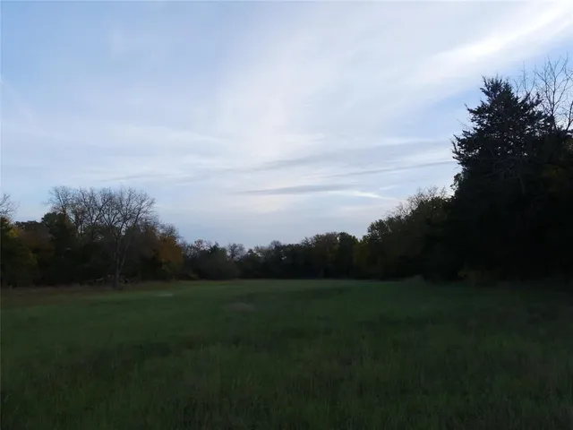 a view of outdoor space with green field and trees