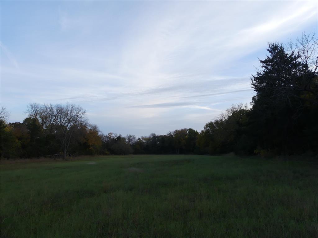 Tbd Schoolhouse Road Forestburg, TX 76239 - Photo 17 of 18 a view of outdoor space and yard