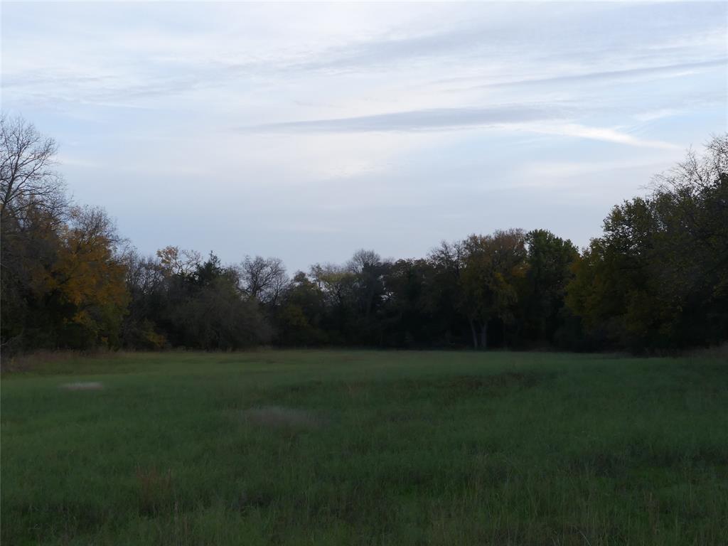Tbd Schoolhouse Road Forestburg, TX 76239 - Photo 18 of 18 a view of outdoor space with green field and trees