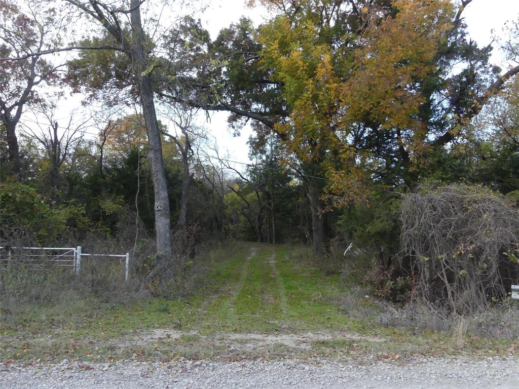 Tbd Schoolhouse Road Forestburg, TX 76239 - Photo 2 of 18 a view of a forest