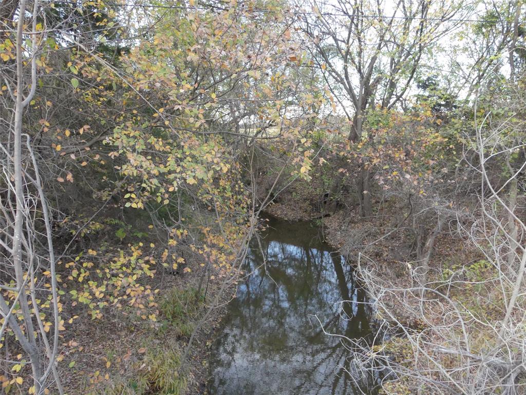 Tbd Schoolhouse Road Forestburg, TX 76239 - Photo 3 of 18 a picture of tree