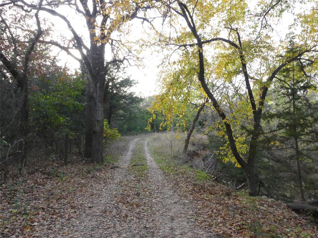 Tbd Schoolhouse Road Forestburg, TX 76239 - Photo 4 of 18 a backyard of a house with lots of green space