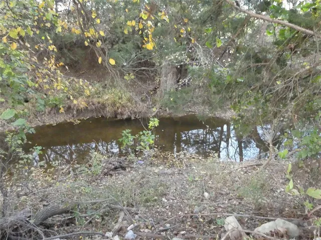 a view of a lake with a tree