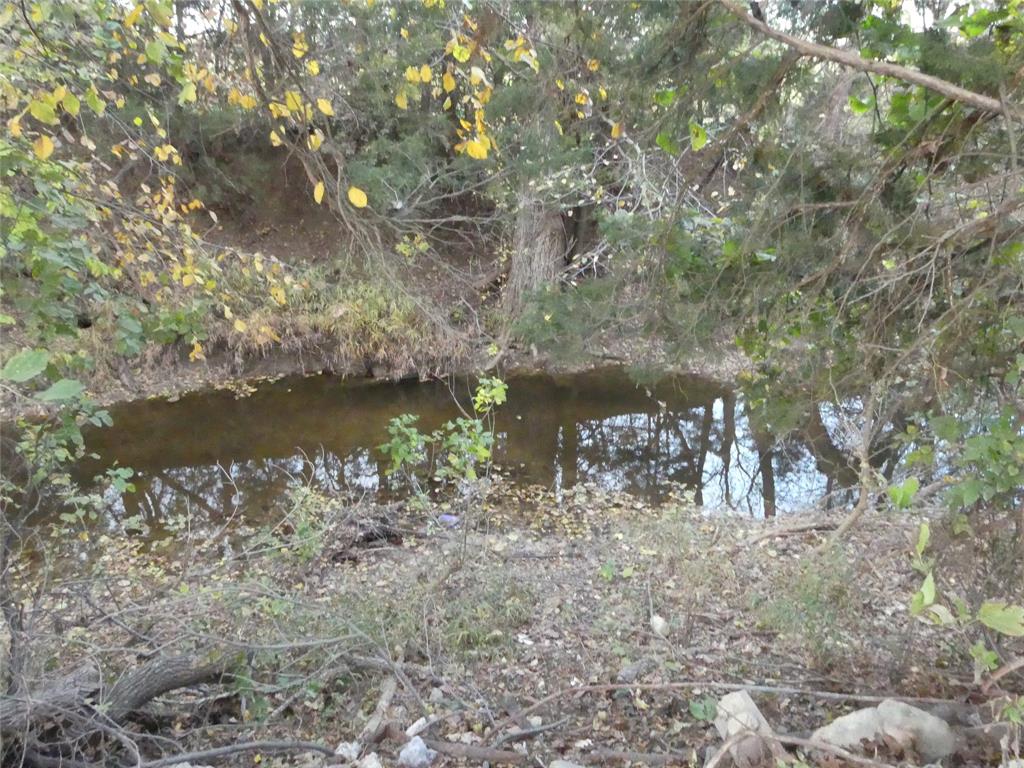 Tbd Schoolhouse Road Forestburg, TX 76239 - Photo 6 of 18 a view of a lake with a tree