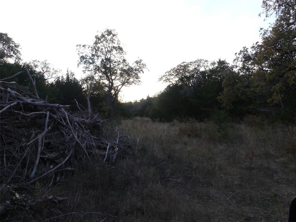 Tbd Schoolhouse Road Forestburg, TX 76239 - Photo 8 of 18