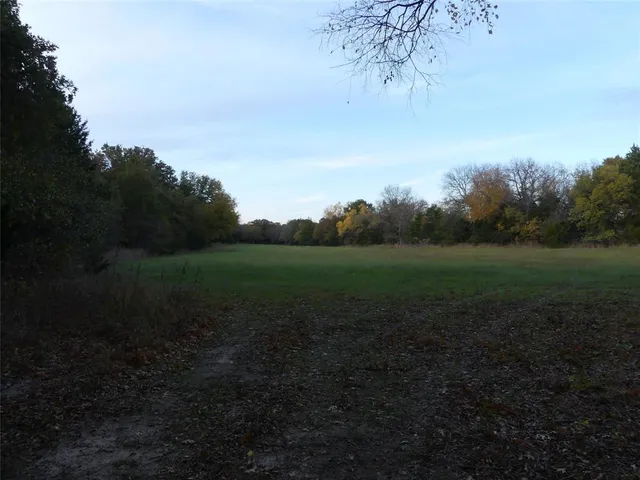 a view of a field of grass and trees