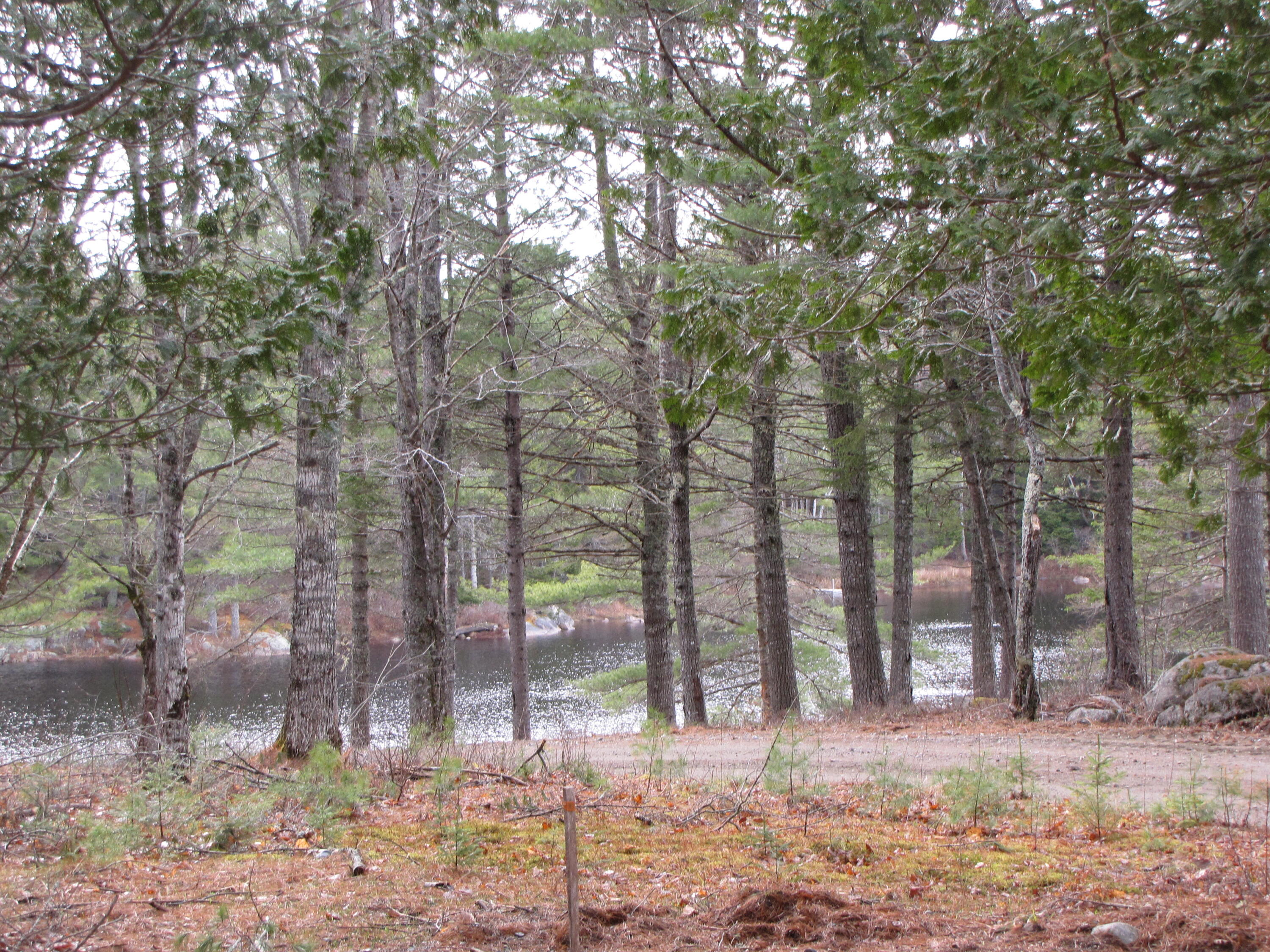 33 Marks Lake Road Machias, ME 04654 - Photo 26 of 37 IMG_1944