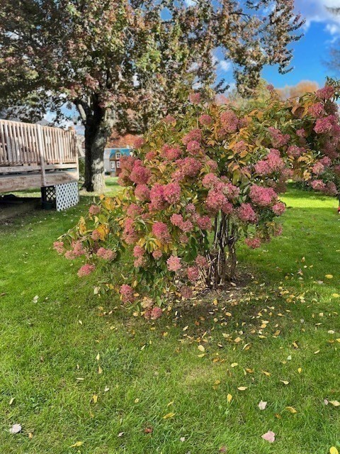 58 Holmes Road Dedham, MA 02026 - Photo 29 of 29 a view of a house with a flower garden