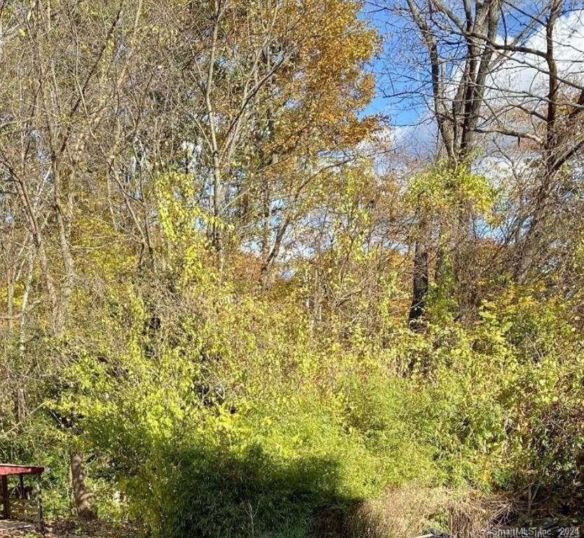 a close up of a tree