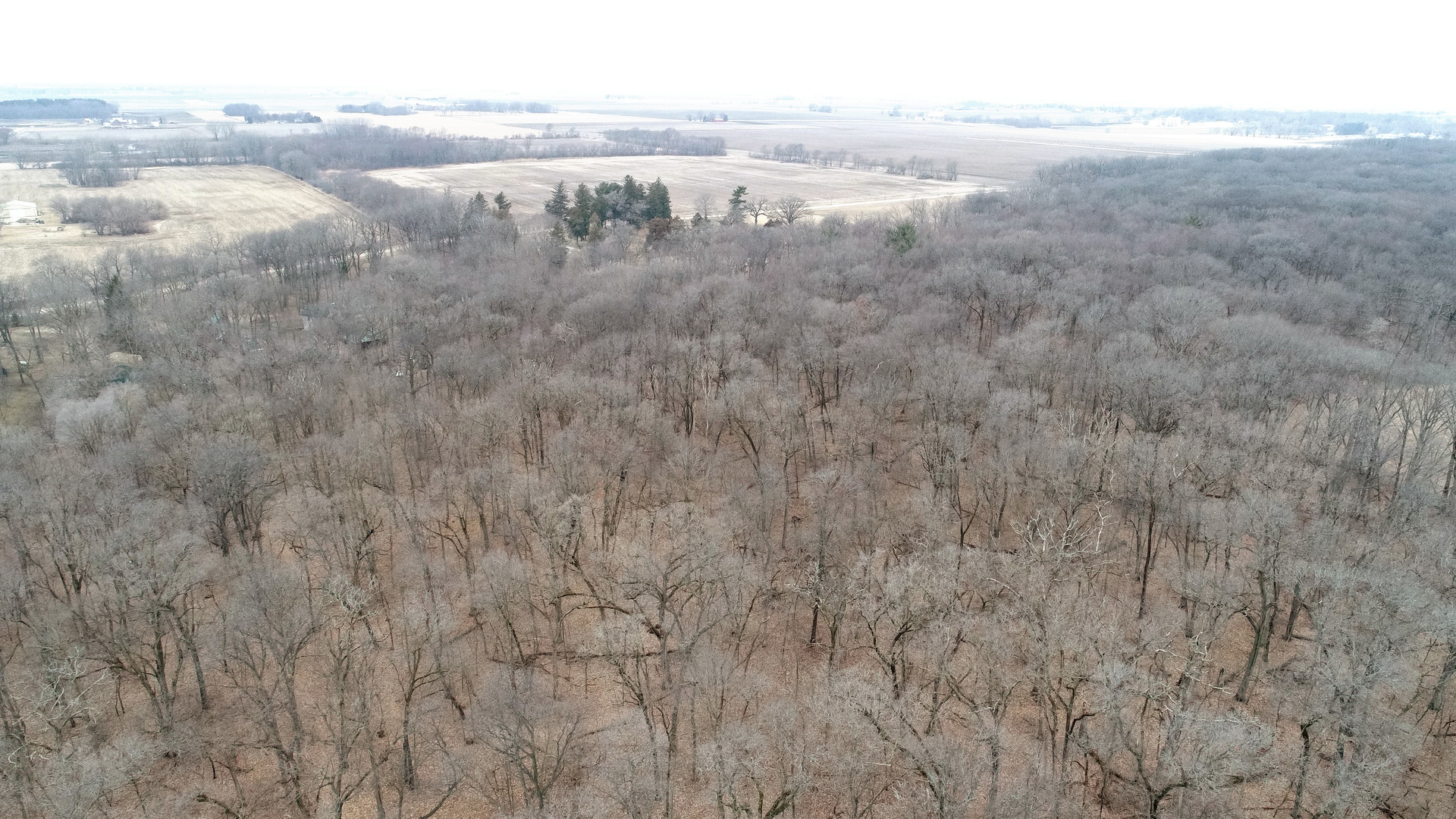 992 Green Wing Road Amboy, IL 61310 - Photo 7 of 10