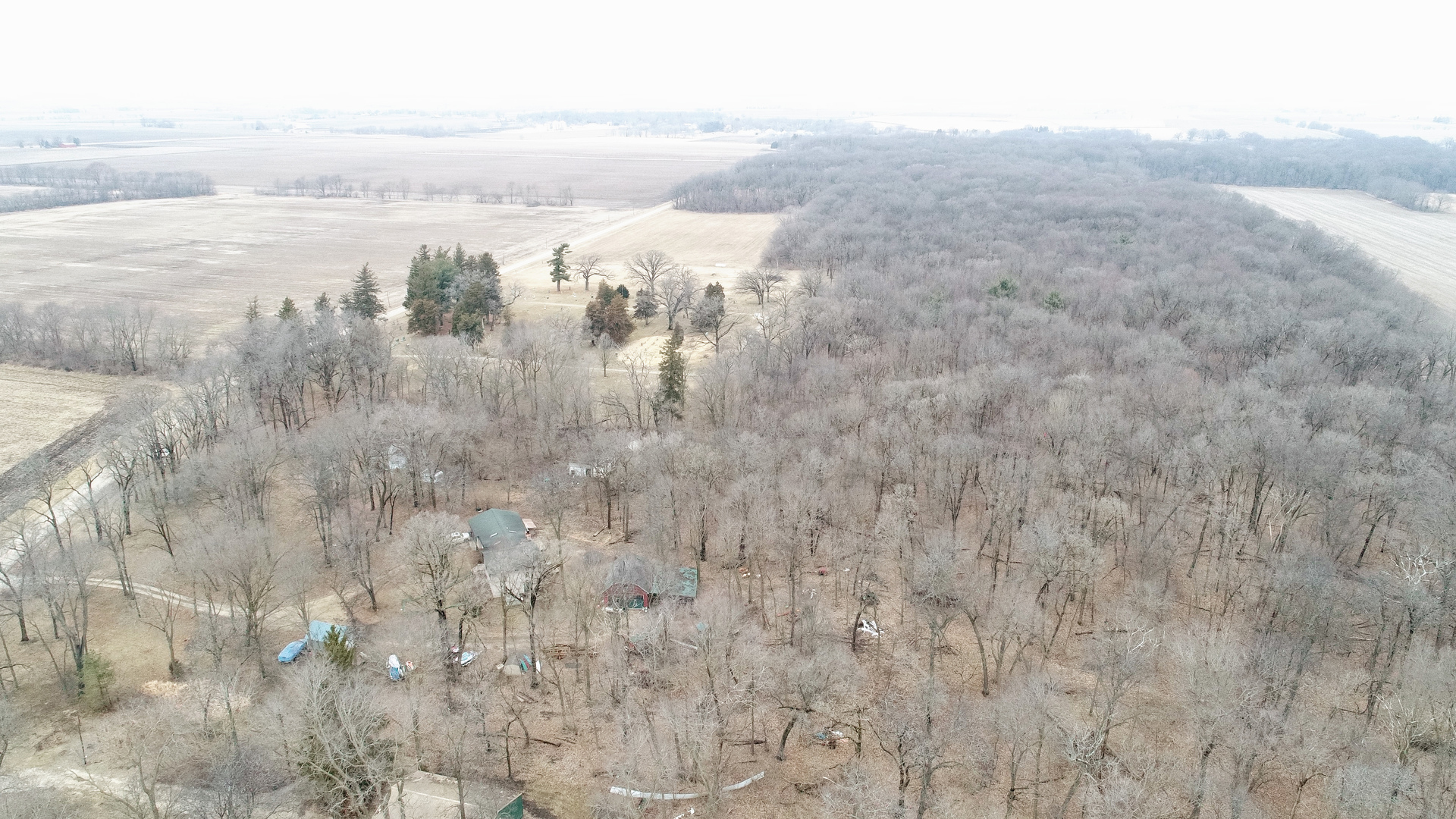 992 Green Wing Road Amboy, IL 61310 - Photo 8 of 10