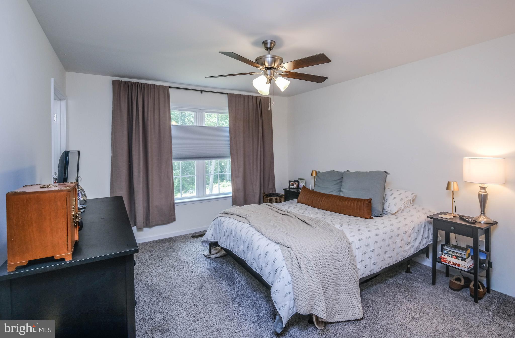 1099 High Top Road Linden, VA 22642 - Photo 28 of 83 Primary Bedroom