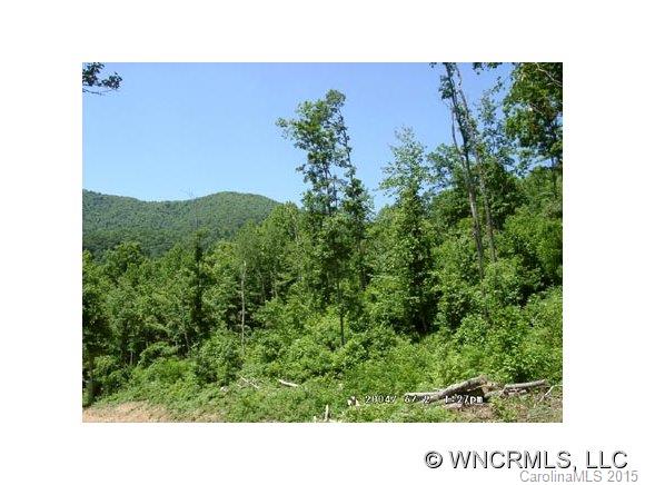 Lot 10 Hare Hollow Road, Unit 10 Clyde, NC 28721 - Photo 1 of 9 Gallery Image 1
