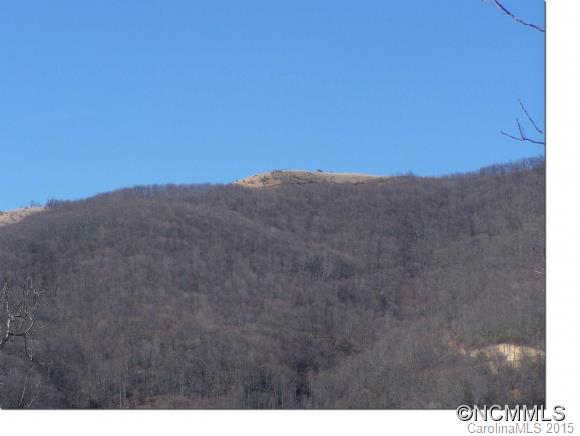 Lot 10 Hare Hollow Road, Unit 10 Clyde, NC 28721 - Photo 2 of 9 Gallery Image 2