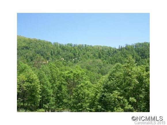 Lot 10 Hare Hollow Road, Unit 10 Clyde, NC 28721 - Photo 3 of 9 Gallery Image 3