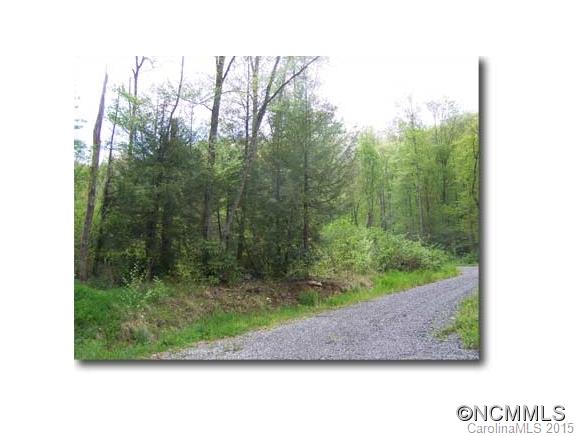 Lot 10 Hare Hollow Road, Unit 10 Clyde, NC 28721 - Photo 5 of 9 Gallery Image 5