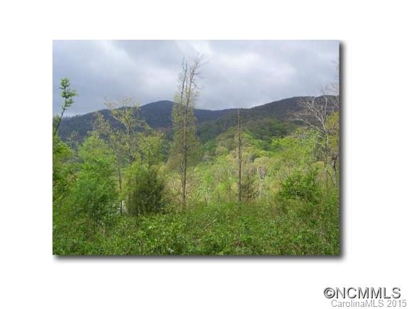 Lot 10 Hare Hollow Road, Unit 10 Clyde, NC 28721 - Photo 6 of 9 Gallery Image 6