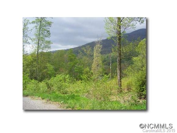 Lot 10 Hare Hollow Road, Unit 10 Clyde, NC 28721 - Photo 7 of 9 Gallery Image 7