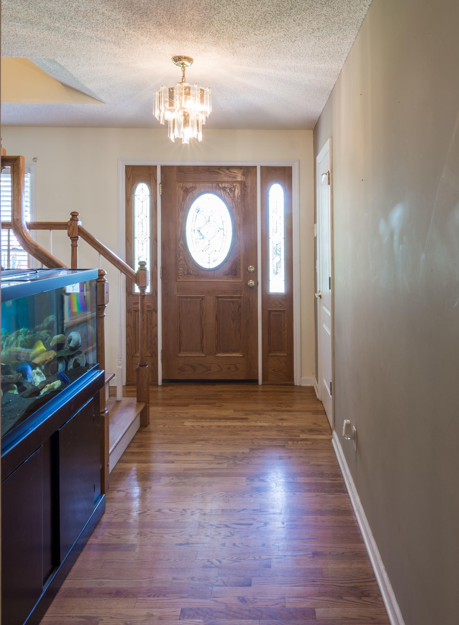 1108 Clift Cave Road Soddy Daisy, TN 37379 - Photo 6 of 88 Clift Cave 2019-17