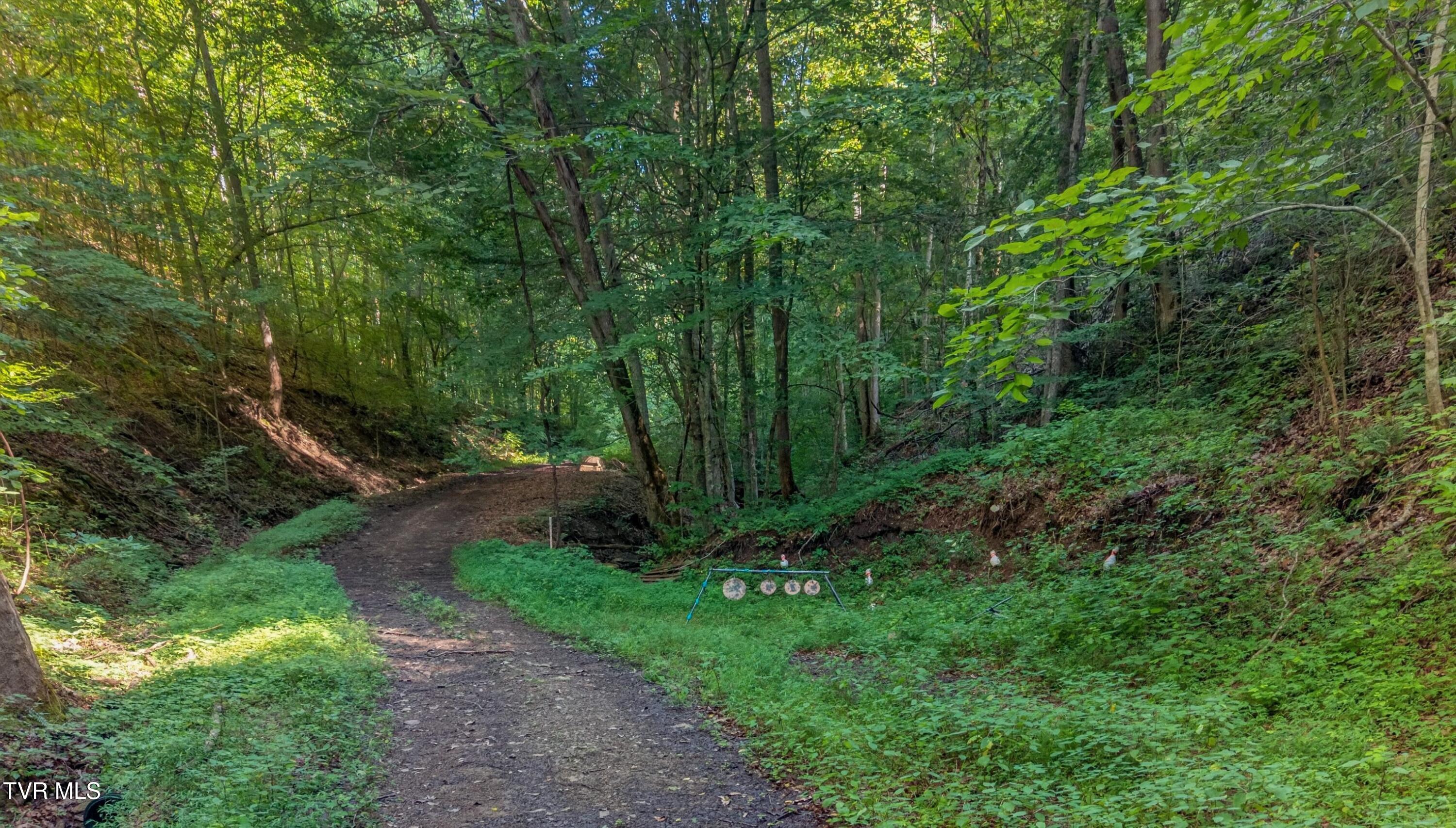7020 Caney Valley Road Tazewell, TN 37879 - Photo 56 of 61 055-7020CaneyValleyRoad-Tazewell-TN-3787