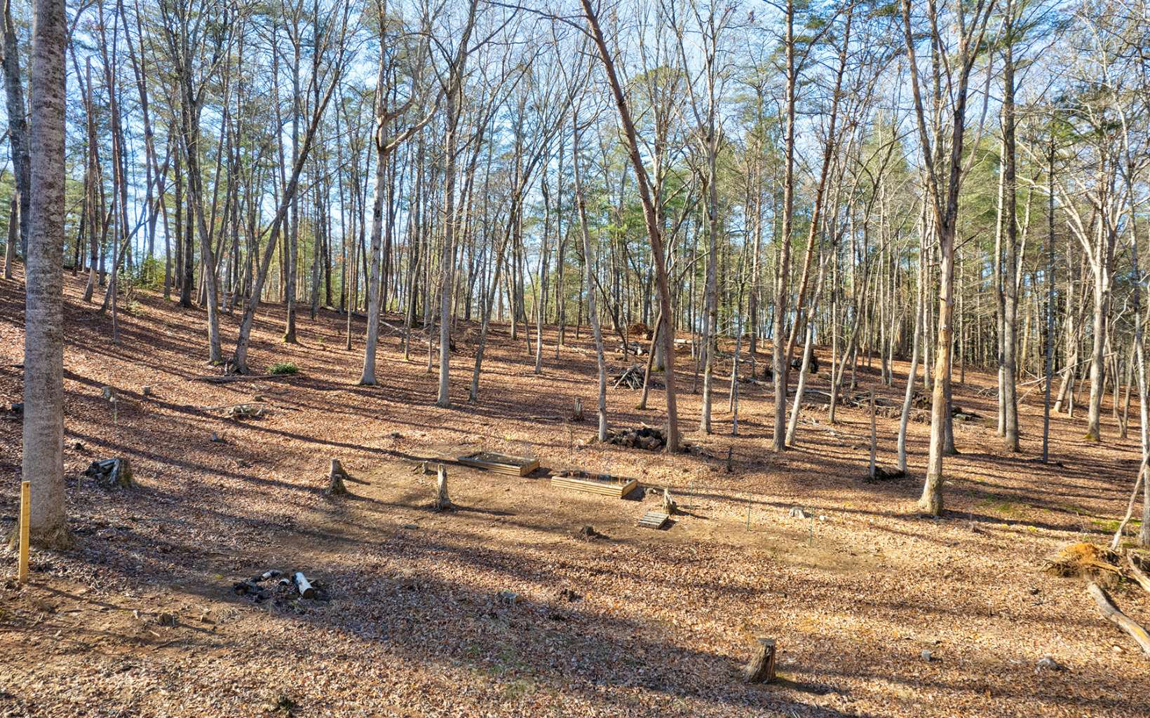 118 Mystic Lane Blue Ridge, GA 30513 - Photo 35 of 44 Additional View