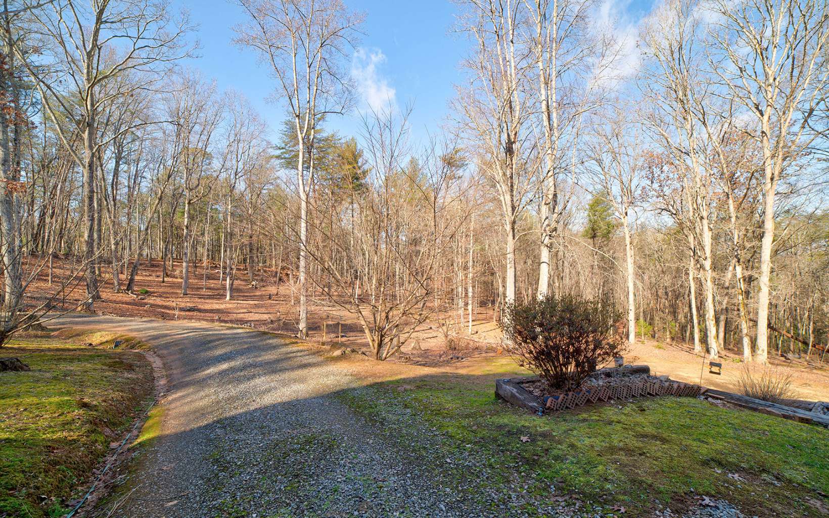 118 Mystic Lane Blue Ridge, GA 30513 - Photo 43 of 44 Additional View