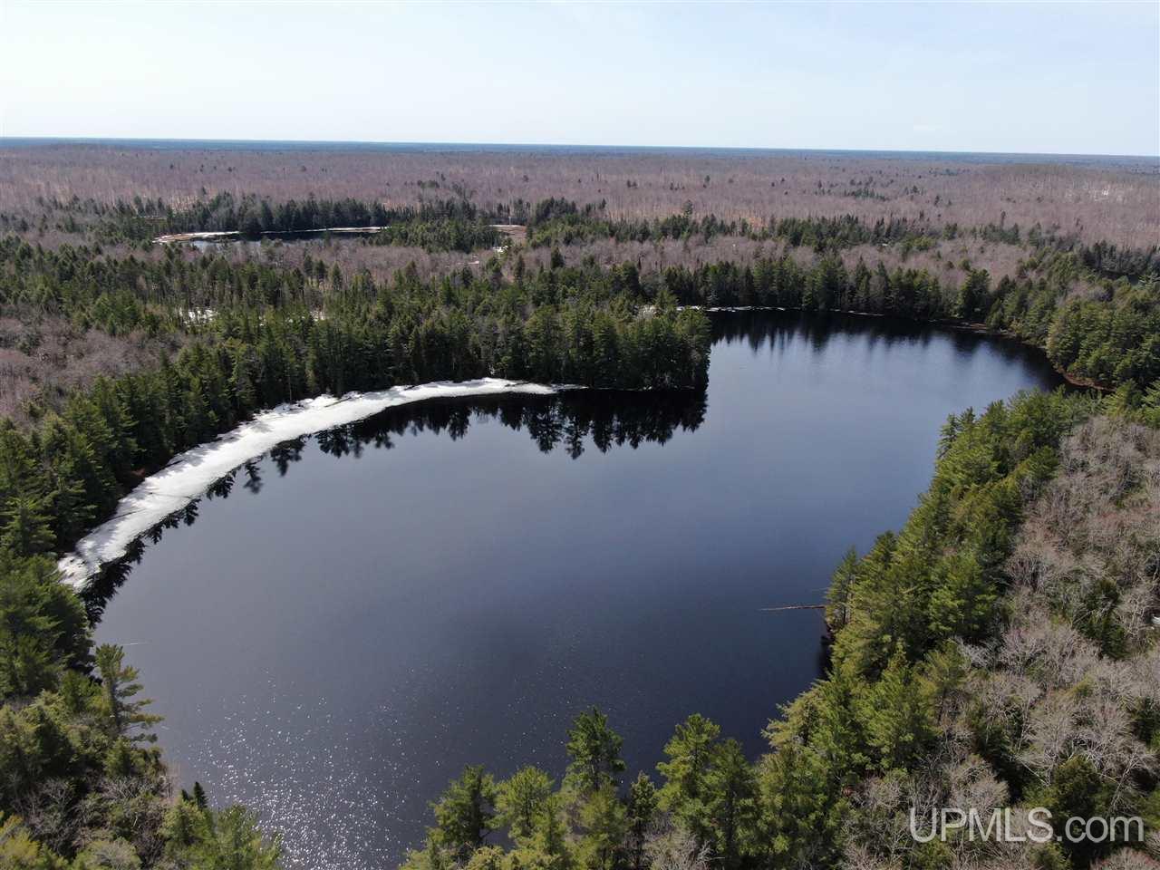 0 Old Seney Road Seney, MI 49883 - Photo 4 of 31