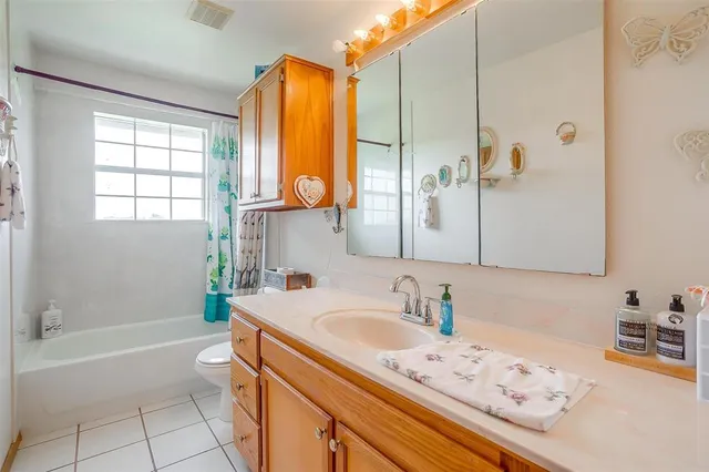 a bathroom with a sink a toilet and a bathtub
