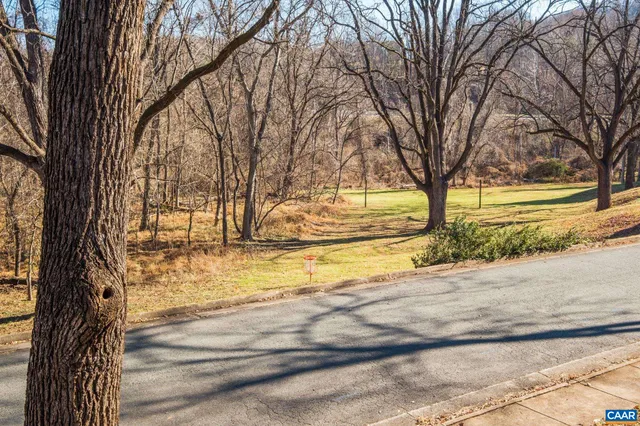 a view of a yard with trees