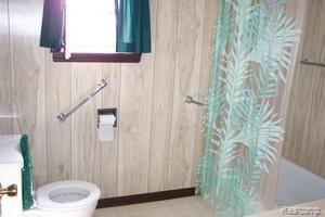 1036 North Lakeshore Road Harbor Beach, MI 48441 - Photo 4 of 6 Bathroom
